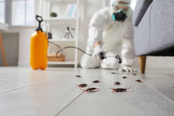 Commercial Kitchen Cockroach Control in Summit View
